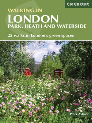 cover image of Walking in London